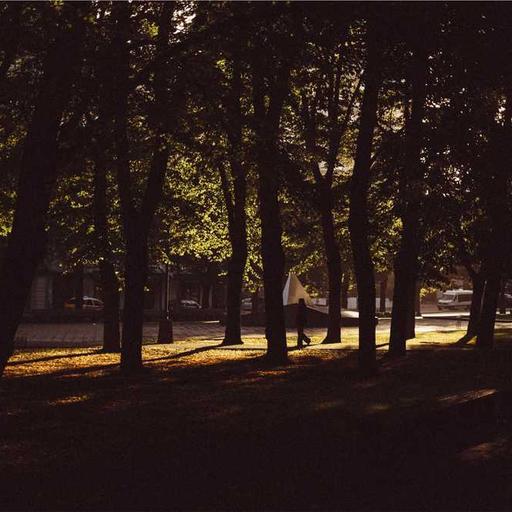 Arti Persahabatan Sejati di Zaman Modern